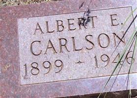 Albert E Carlson
