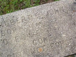 Albert E. Johnson Albert E. Johnson