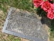 Albert E Johnson Albert E Johnson