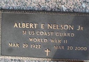 Albert E Nelson, Jr