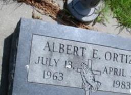 Albert E Ortiz