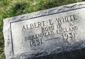 Albert E White