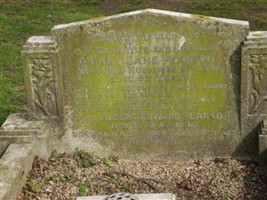 Albert Edward Pearson Albert Edward Pearson