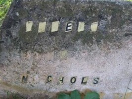 Albert Eler Nichols Albert Eler Nichols