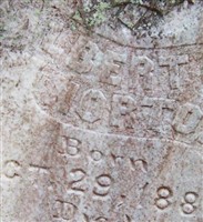 Albert F Norton