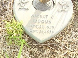 Albert G. LeDoux