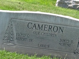 Albert Gerald Cameron
