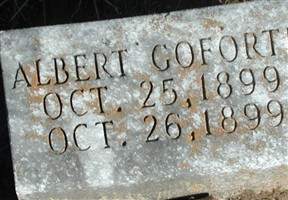 Albert Goforth
