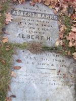 Albert H. Banks