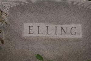 Albert H. Elling