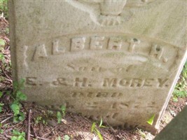 Albert H Morey