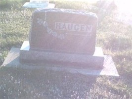 Albert Haugen
