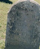 Albert Himmle Joseph Merk