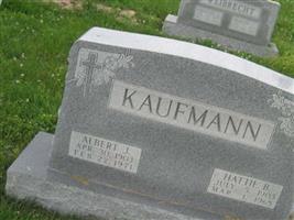 Albert J. Kaufmann