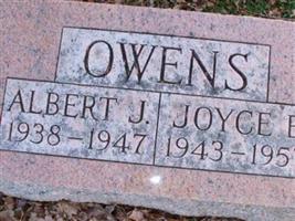 Albert J. Owens
