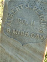 Albert J Perkins