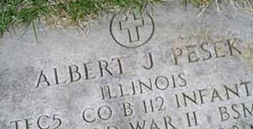 Albert J Pesek