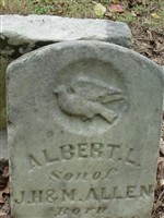 Albert L Allen Albert L Allen