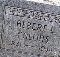 Albert L. Collins