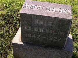 Albert M Adams Albert M Adams