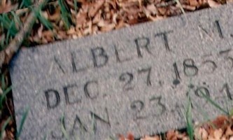 Albert M Allen Albert M Allen