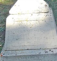 Albert M Allred