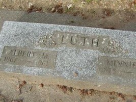Albert M Luth