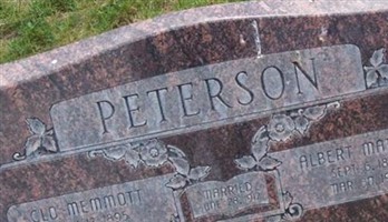 Albert M Petersen Albert M Petersen