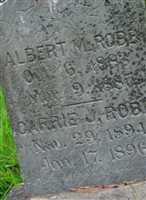 Albert M. Robb