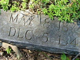 Albert Martellis Johnson Albert Martellis Johnson