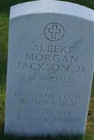 Albert Morgan Jackson