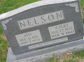 Albert Nelson