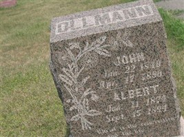 Albert Ollmann Albert Ollmann