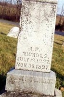 Albert P. Nichols (2203154.jpg) Albert P. Nichols (2203154.jpg)