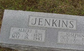 Albert R. Jenkins Albert R. Jenkins
