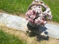 Albert R. Jones