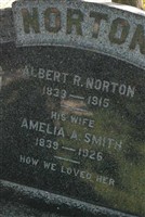 Albert R Norton