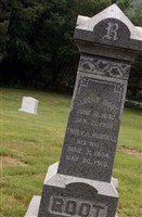 Albert Root