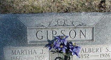 Albert S Gipson