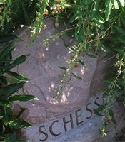 Albert Schesser Albert Schesser