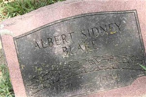 albert sidney blake albert sidney blake