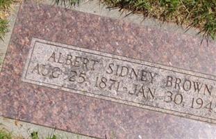 Albert Sidney Brown