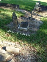 Albert Singleton Albert Singleton