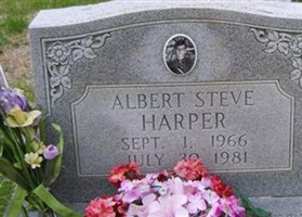 Albert Steve Harper Albert Steve Harper