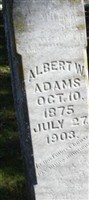 Albert W Adams Albert W Adams