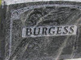 Albert W Burgess