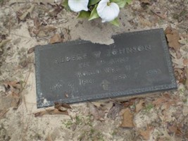 Albert W Johnson Albert W Johnson