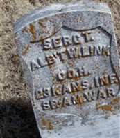 Albert W. Link