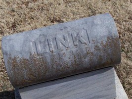Albert W. Link