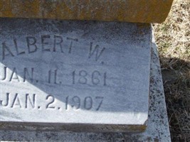 Albert W. Link